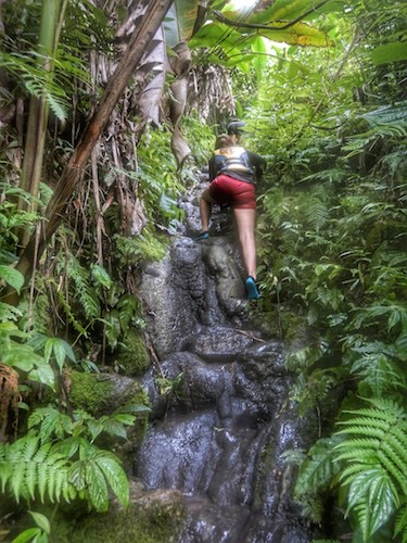 # Discovering Sustainable Paradise: My Journey to...