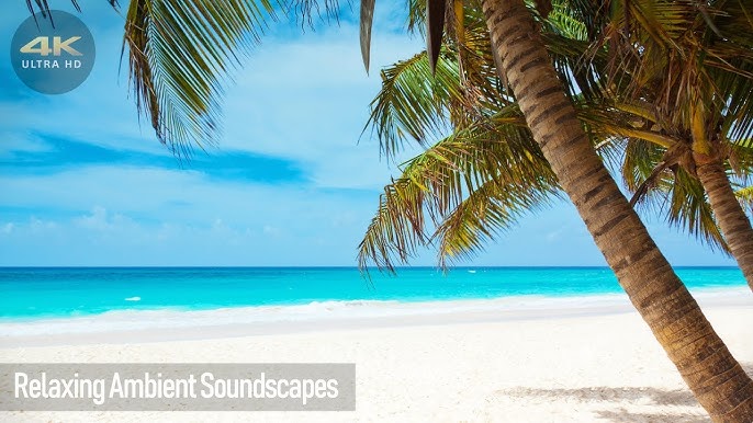 # Sound Sanctuary: Unveiling Beaches for Auditory...