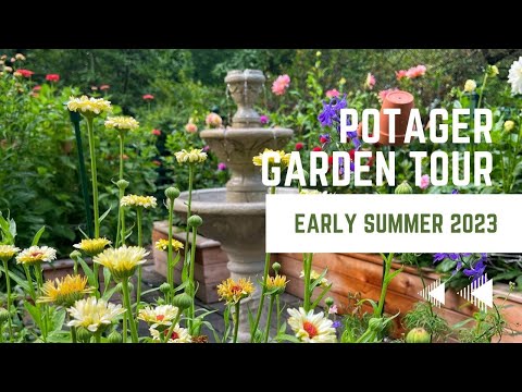 Bloom & Harvest: The Homestead Cut Flower Garde...