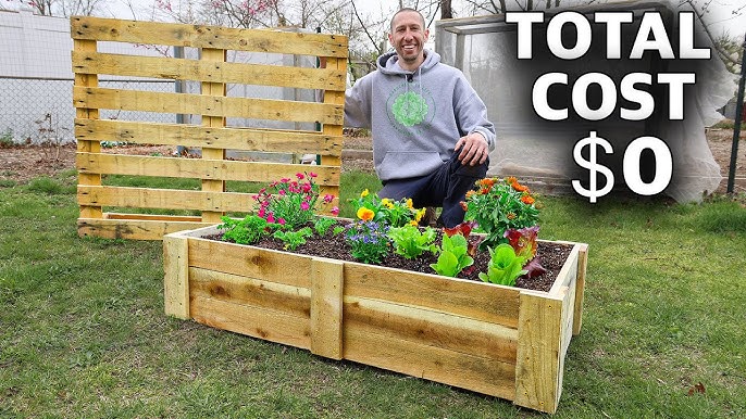 Grow Your Own Goodness: A Beginner's Guide to a...