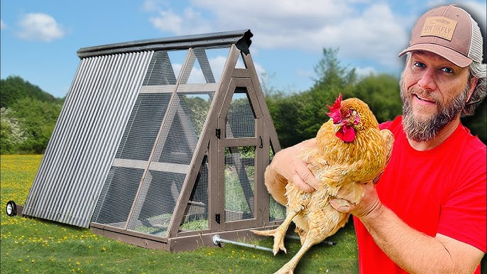 Transform Your Homestead This Weekend: Build a B...