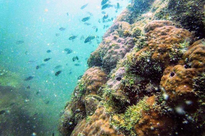 # Relax, Restore, and Protect: Eco-Conscious Beach...