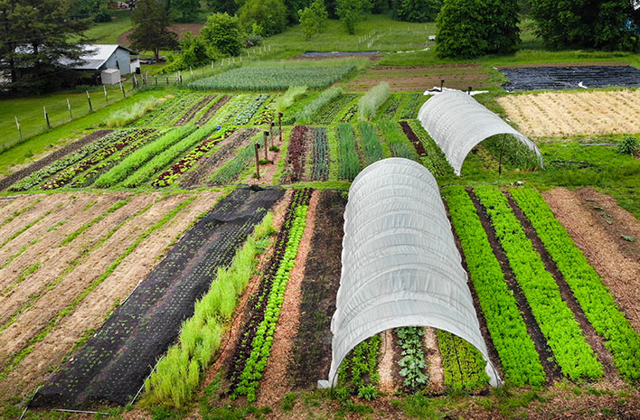 Unlock the Secrets of Your Soil: A Beginner's Gu...