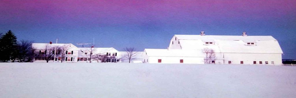 Maine Winter Farm