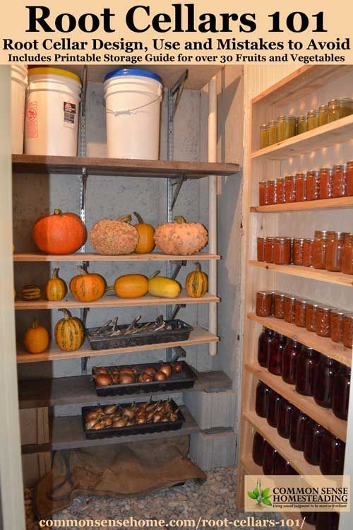 Level Up Your Homestead: Build a DIY Root Cellar...