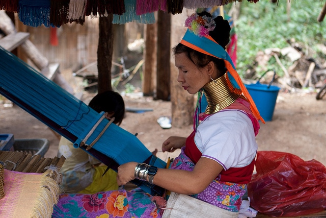 Elephants interacting with their mahouts in a natural setting