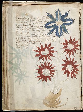 Voynich Glyph Frequency Distribution