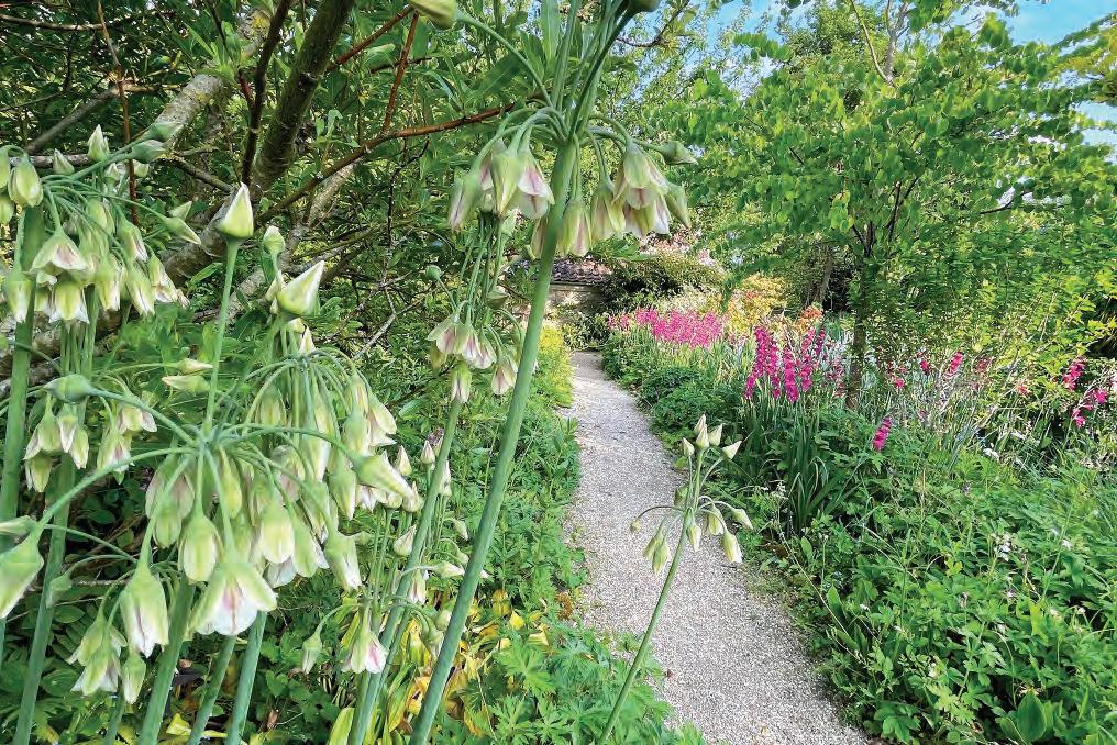 From Seed to Sanctuary: Creating a Cottage Gard...
