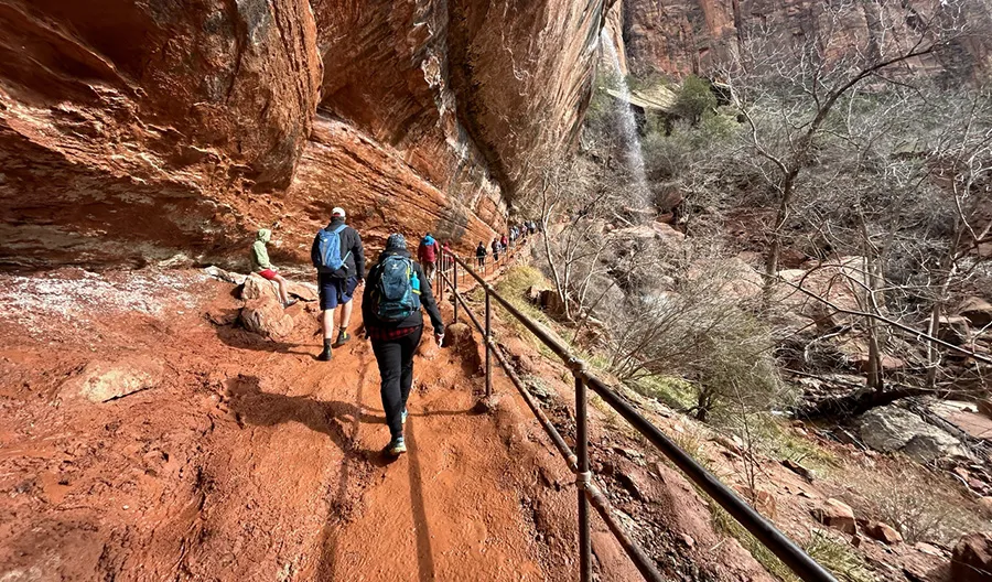 Things to do in Zion National Park