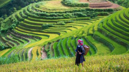 A woman hiking in Sapa, looking out over the hills. The photo highlights the beauty of the landscape and the spirit of adventure.