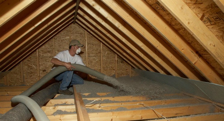 Cellulose insulation