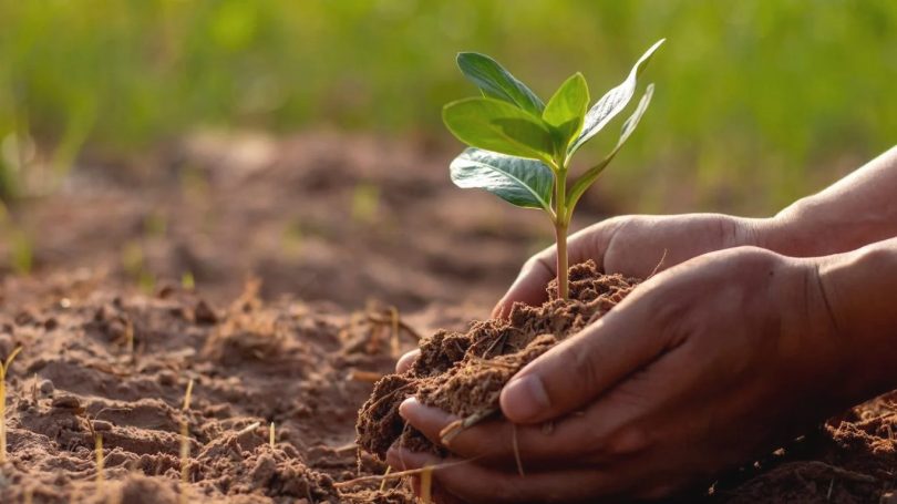 A close-up image of healthy soil structure, showing the interconnectedness of soil particles, organic matter, and roots