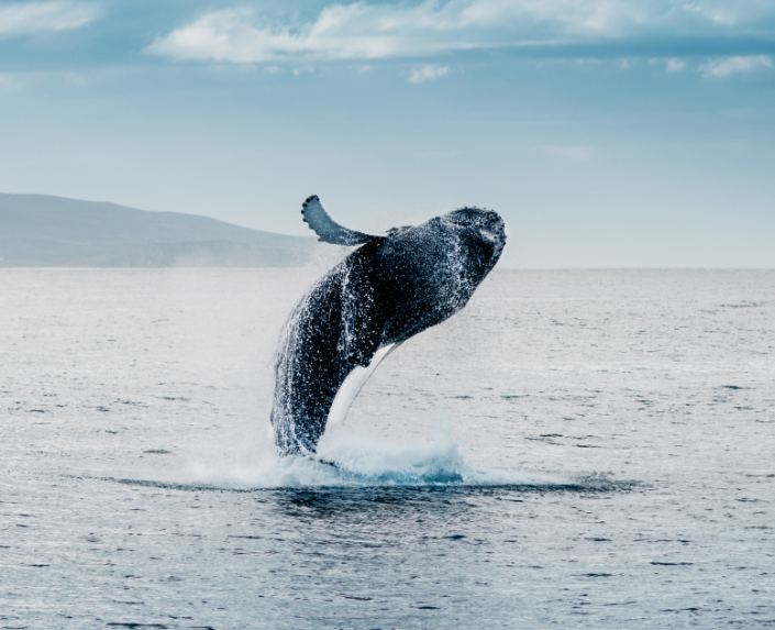 Sete Cidades Lake from Vista do Rei viewpoint