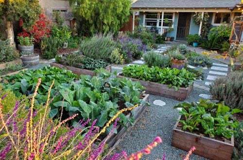 Image: A homestead setting with a compost bin in the background.
