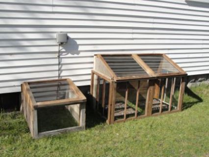 Cold Frame