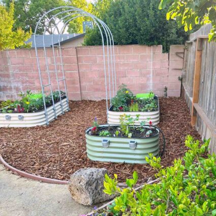 From Seed to Supper: A Beginner's Guide to No-D...