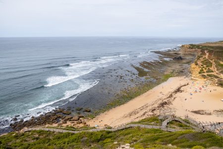 A volunteer planting native plants along the Big Sur coastline, with the Pacific Ocean in the background.