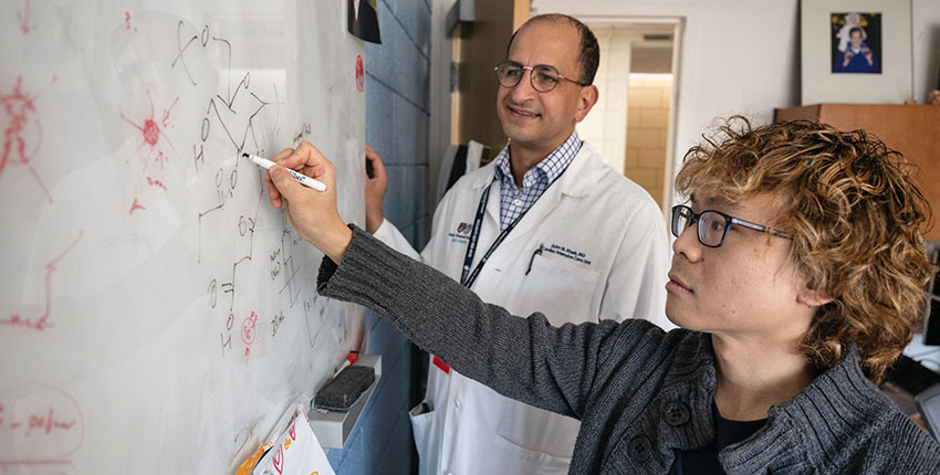 ## Reality Bites: The Price of Destruction in Free...