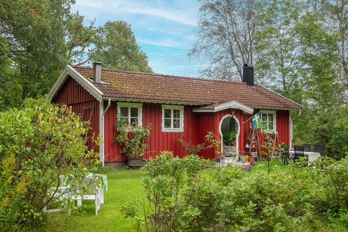 A backyard with a small garden plot