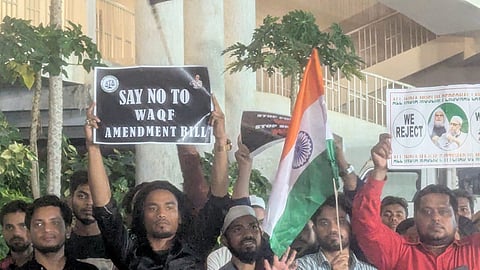 Promotional image of Sarah Klein's (Owl Creek Games') latest narrative-driven adventure game, 'Whispers of the Old Growth,' on Steam.