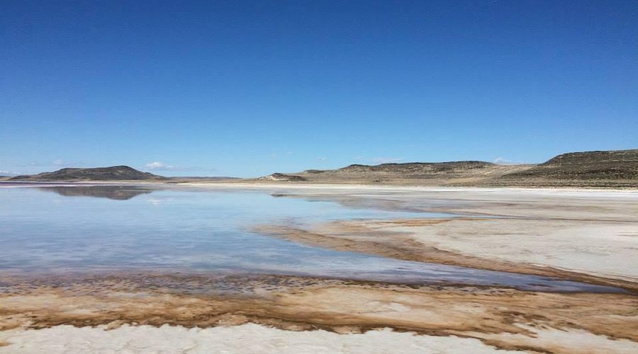 # Desert Dreams: Mindful Cultural Immersion in Mor...