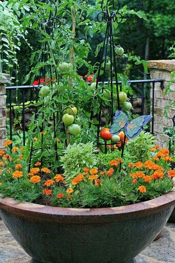 Unlock a Bountiful Harvest: The Magic of Compan...