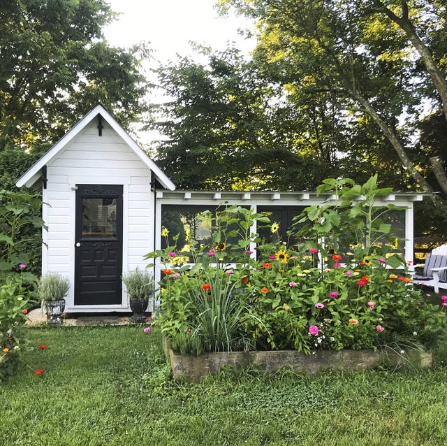 From Scrap Heap to Happy Hens: Building a Budge...