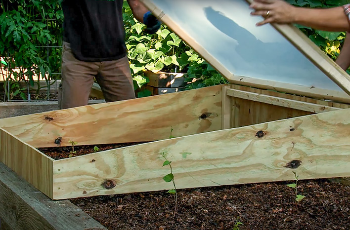 A classic, well-maintained cold frame in a thriving garden.