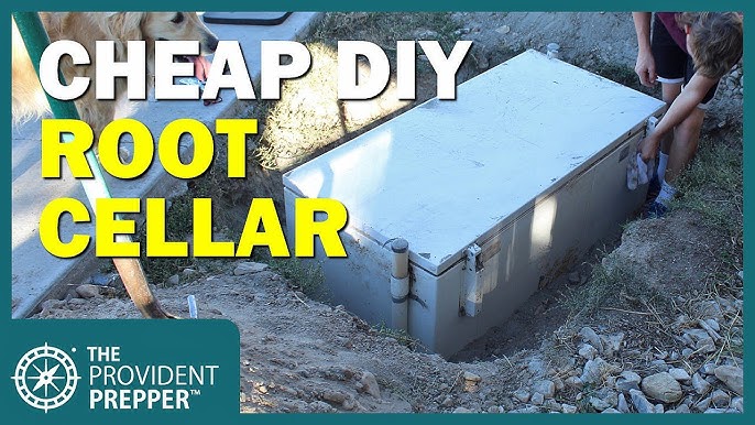 Unearthing Self-Sufficiency: Building Your Own...