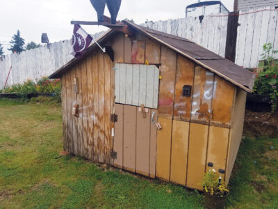 Unleash Your Inner Homesteader: Building a DIY...