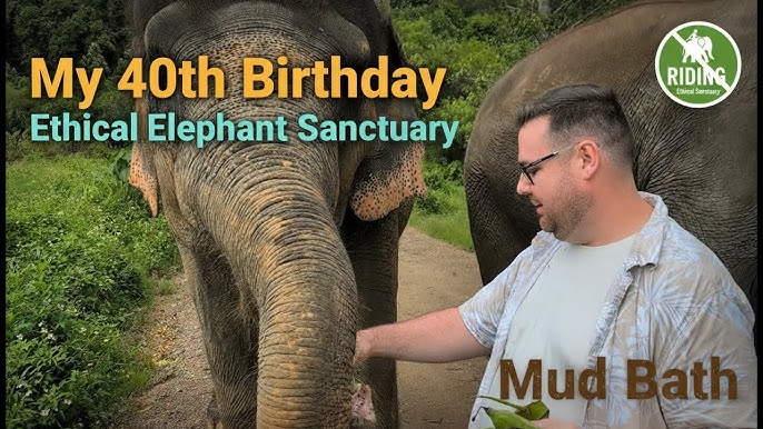 Intricate leather shadow puppets displayed at the Sovannaphum Arts Association in Siem Reap.