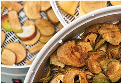 Close-up of sliced oranges, some with star-shaped cutouts, arranged on dehydrator trays.