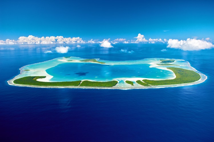 Dr. Hana Sato planting coral fragments on a reef in Tetiaroa. She is wearing scuba gear and the water is crystal clear.