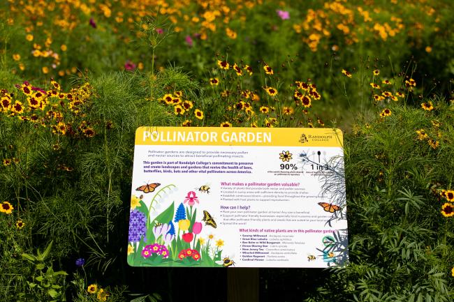 DIY bee house colorful easy instructions