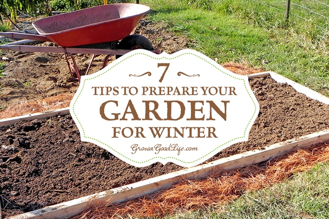 garden ready for winter