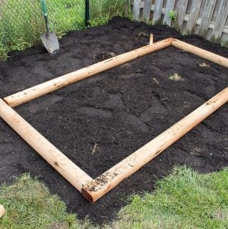 Grow Your Own Goodness: Building a DIY Raised G...