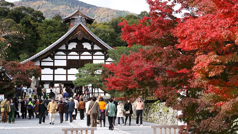 # Unveiling the Soul of Kyoto: A Five-Day Journey...