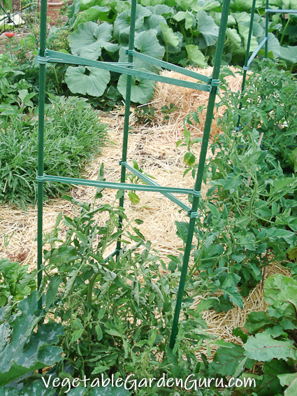 Revive, Replenish, Harvest: Regenerative Garden...