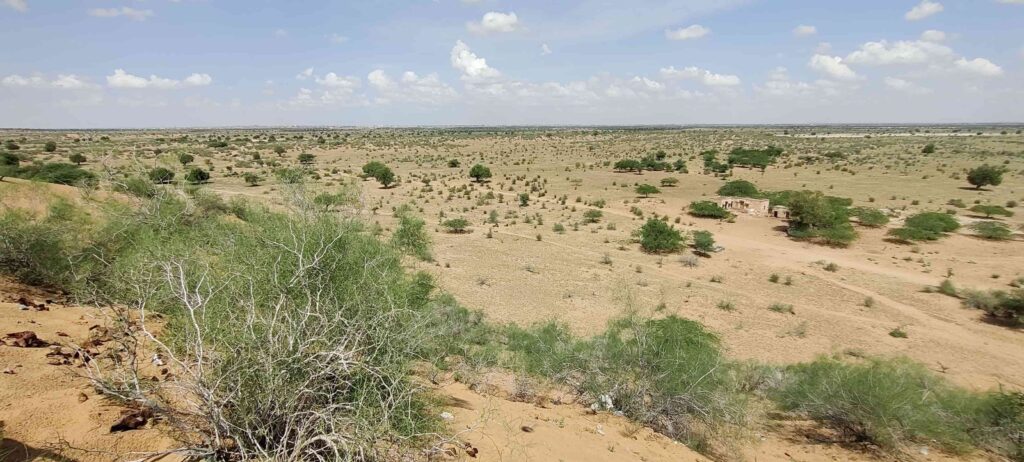 Another arid, desert-like landscape