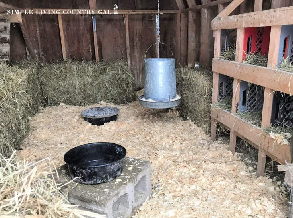 chicken coop insulation straw bales exterior