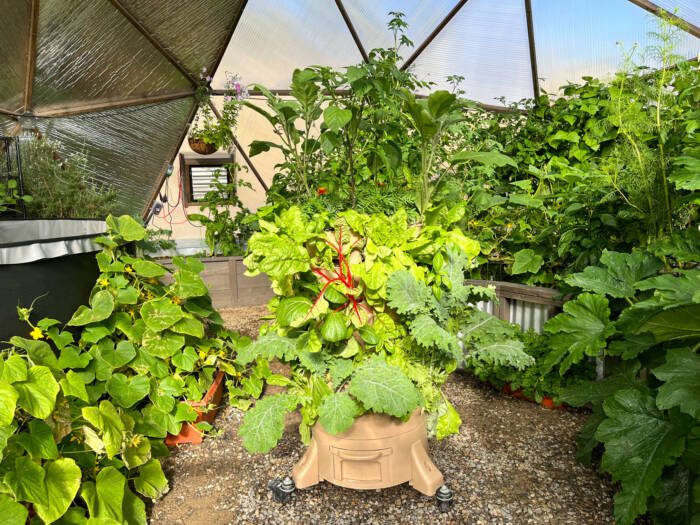 Garden tower vermicompost setup