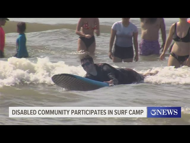 Shark teeth found beachcombing