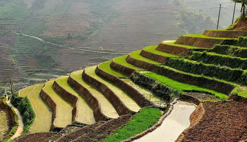 # Beyond the Himalayas: Witnessing the Mystical He...