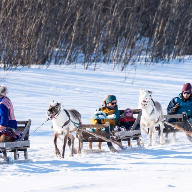 Close-up shot of snowshoes crunching in the snow with the Northern Lights in the background.