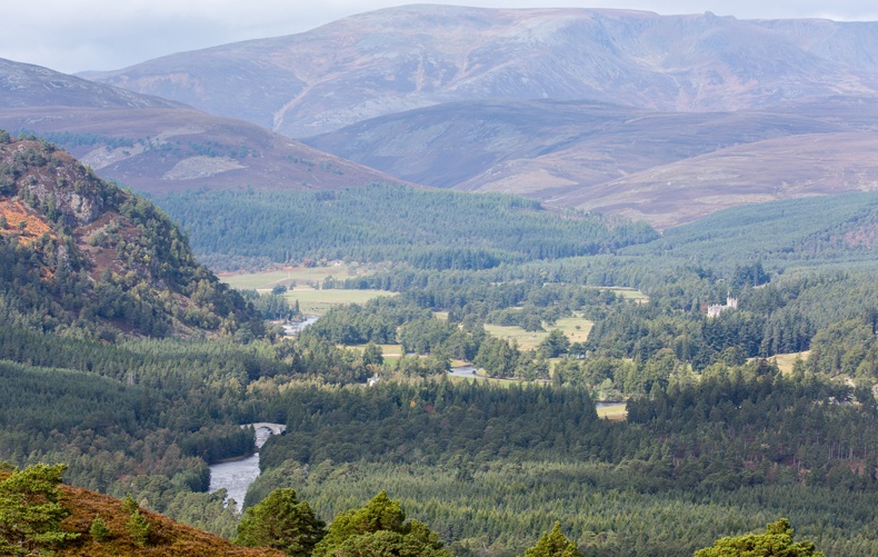 The interior of The Fife Arms' whisky bar, showcasing its extensive collection and the warm, inviting atmosphere for whisky enthusiasts.