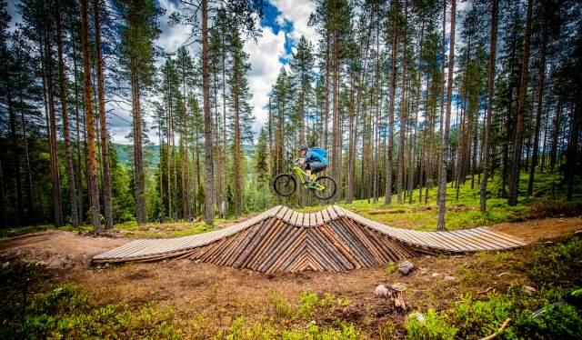 Fat biking in the Forests of Trysil