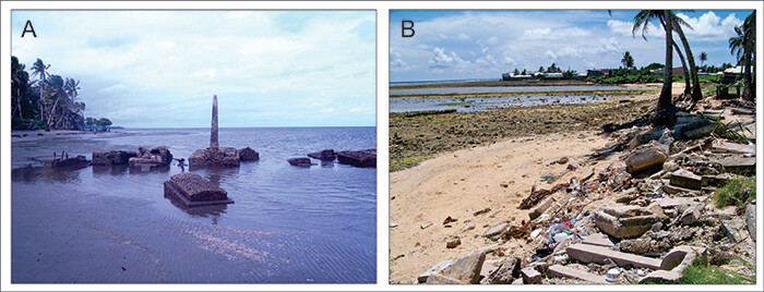 A Fijian woman meticulously beating mulberry bark with an ike to create tapa cloth on Kadavu Island