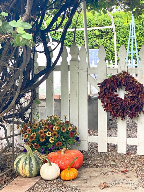 Fall Garden