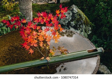 Kiyomizu-dera Temple Night Illumination