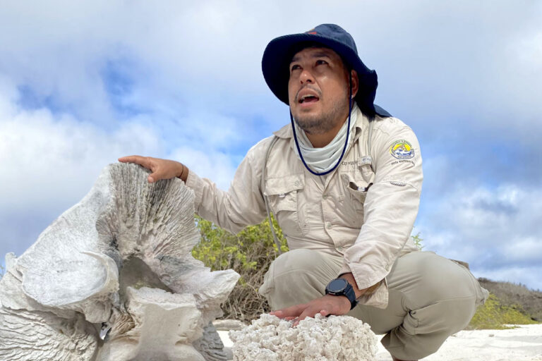 # Discovering Sustainable Paradise: My Eco-Adventu...